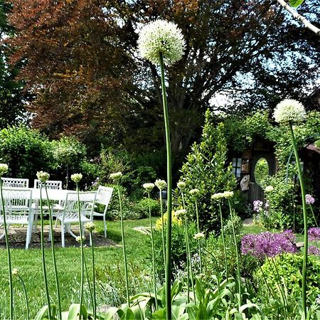 Le Jardin Des Miroirs Bed & Breakfast Esneux Exterior photo